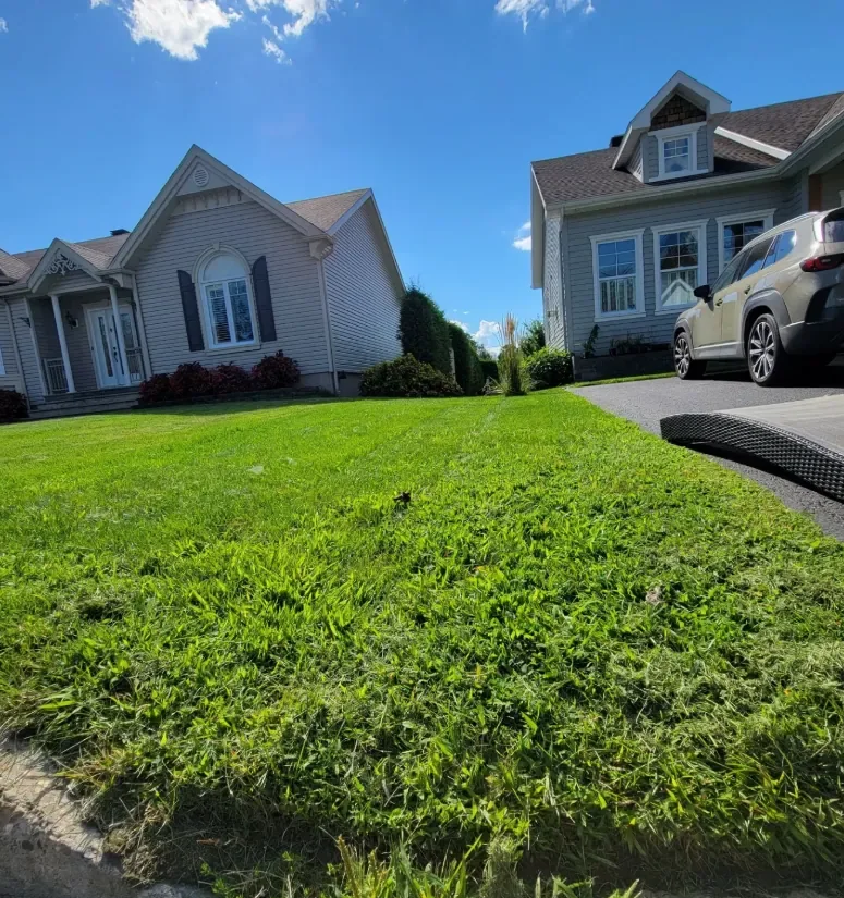 Pelouse résidentielle fraîchement tondue devant deux maisons à Sherbrooke, coupe uniforme