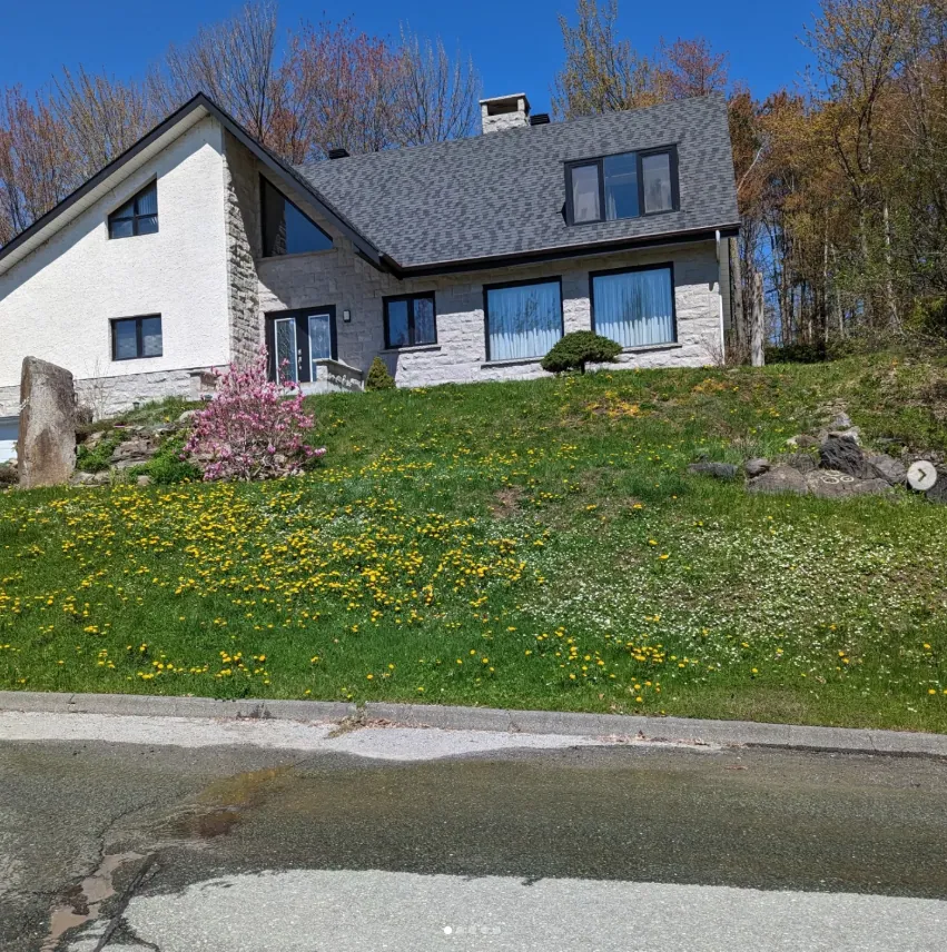 AVANT — pelouse infestée de pissenlits sur terrain en pente d'une résidence à Sherbrooke