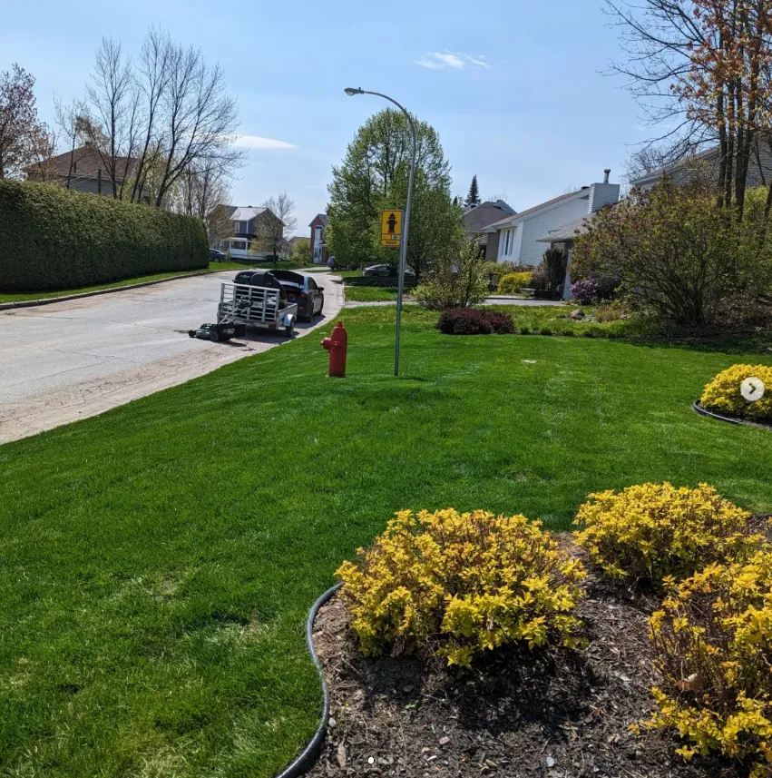 Pelouse de quartier résidentiel — bordure et trottoir impeccables