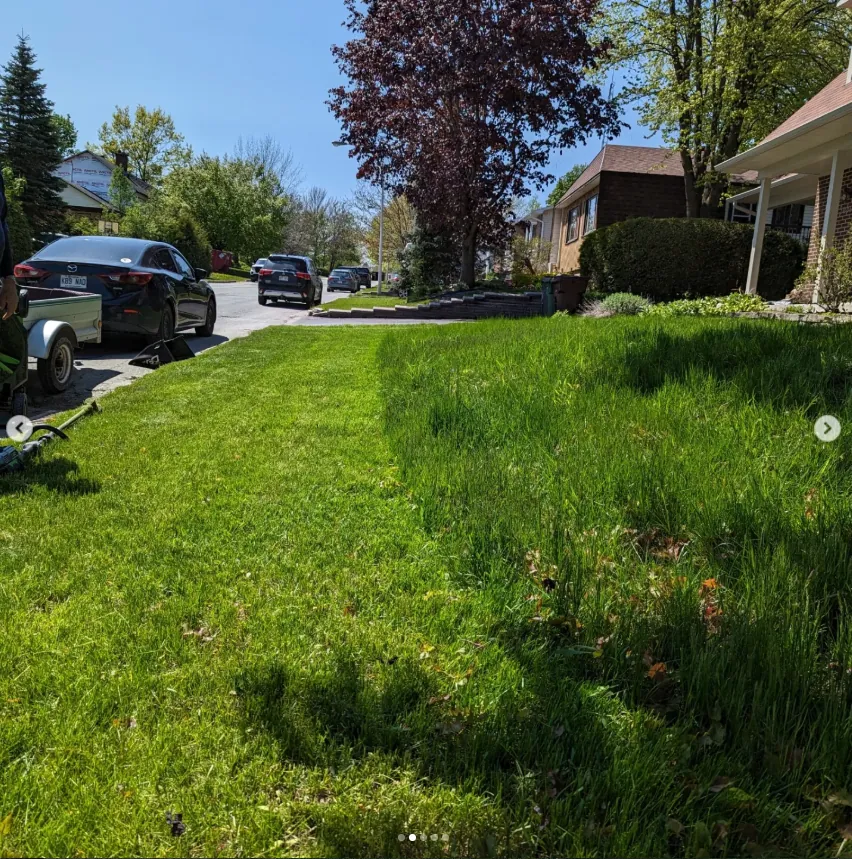 Travail de tonte soigné — Eco Pelouse Estrie