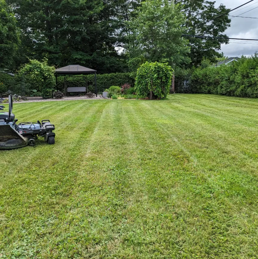 Pelouse entretenue par Eco Pelouse Estrie
